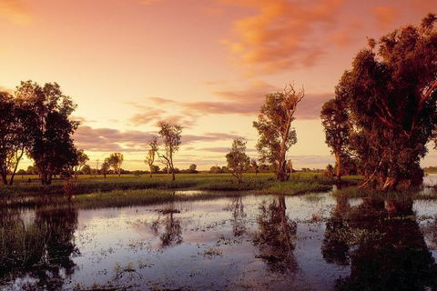 3-Day Kakadu National Park And Arnhem Land Explorer Tour From Darwin - Accommodation Batemans Bay 1