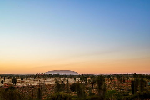 Uluru (Ayers Rock) Field Of Light Sunrise Tour - Accommodation Batemans Bay 0
