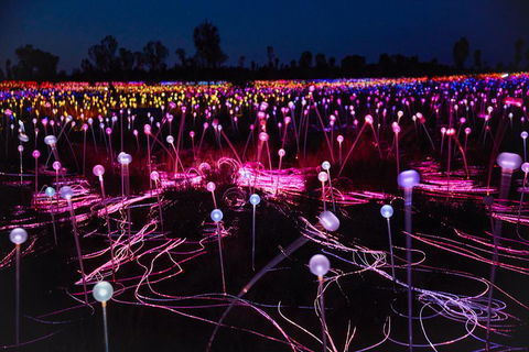 Uluru (Ayers Rock) Field Of Light Sunrise Tour - Accommodation Batemans Bay 1