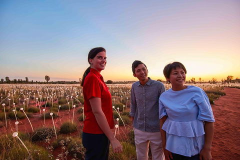 Uluru (Ayers Rock) Field Of Light Sunrise Tour - Accommodation Batemans Bay 2