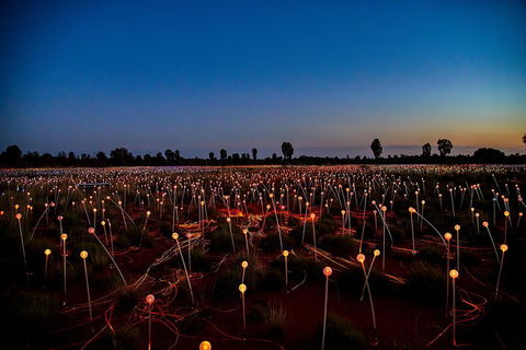 Uluru (Ayers Rock) Field Of Light Sunrise Tour - Accommodation Batemans Bay 4