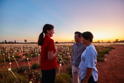 Uluru (Ayers Rock) Field Of Light Sunrise Tour - Accommodation Batemans Bay 5