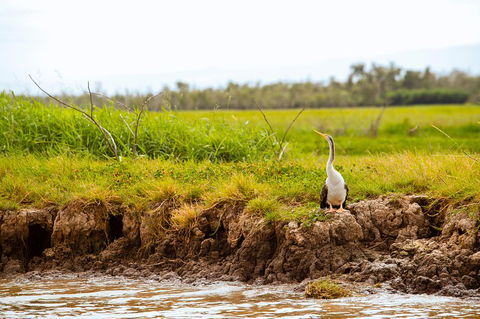 Darwin City Sights And Jumping Crocodile Cruise - Accommodation Batemans Bay 2