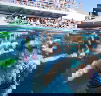 Great Barrier Reef Day Cruise from Cairns Including Snorkeling and Marine Biologist Presentation - Accommodation Batemans Bay