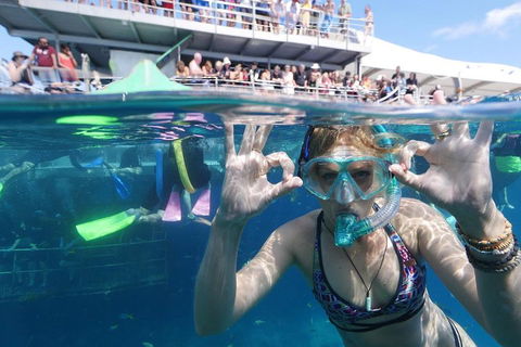Great Barrier Reef Day Cruise From Cairns Including Snorkeling And Marine Biologist Presentation - Accommodation Batemans Bay 0