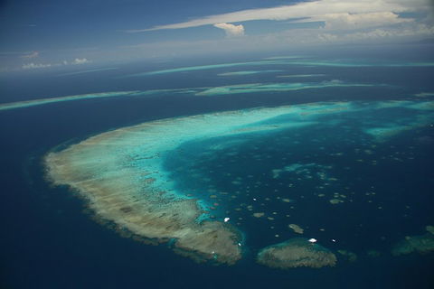 Great Barrier Reef Day Cruise From Cairns Including Snorkeling And Marine Biologist Presentation - Accommodation Batemans Bay 1
