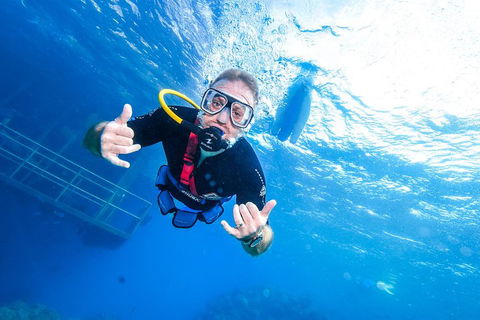 Great Barrier Reef Day Cruise From Cairns Including Snorkeling And Marine Biologist Presentation - Accommodation Batemans Bay 3
