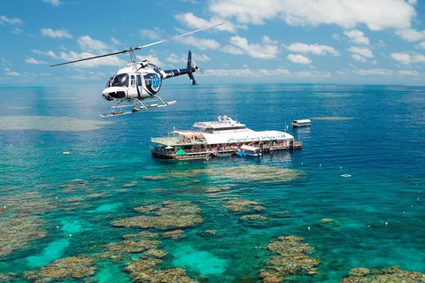 Great Barrier Reef Day Cruise From Cairns Including Snorkeling And Marine Biologist Presentation - Accommodation Batemans Bay 5