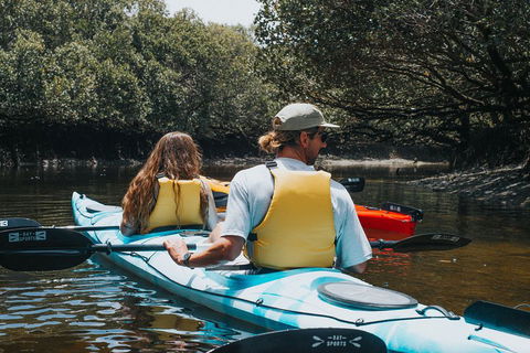 Kayak Tour In Adelaide Dolphin Sanctuary - Accommodation Batemans Bay 2