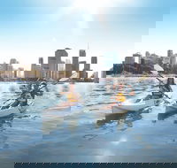 Brisbane Kayak Tour - Accommodation Batemans Bay