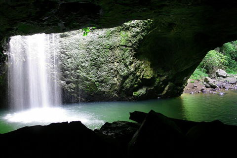 Natural Bridge & Springbrook Waterfalls Tour + Hot Air Balloon With Breakfast - Accommodation Batemans Bay 2