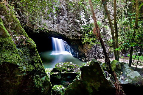 Natural Bridge & Springbrook Waterfalls Tour + Hot Air Balloon With Breakfast - Accommodation Batemans Bay 4