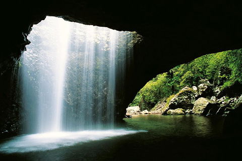 Natural Bridge & Springbrook Waterfalls Tour - Accommodation Batemans Bay 0