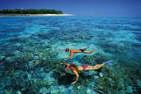 Green Island Day Trip From Cairns - Accommodation Batemans Bay 5