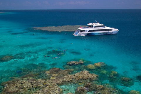 Silversonic Outer Great Barrier Reef Dive And Snorkel Cruise From Port Douglas - Accommodation Batemans Bay 2