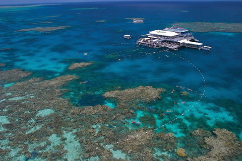 Ultimate 3-Day Great Barrier Reef Cruise Pass - Accommodation Batemans Bay 3
