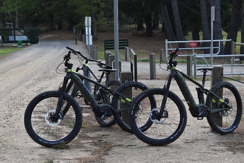 Fully Guided E-Mountain Bike Tour On The Beautiful Mornington Peninsula. - Accommodation Batemans Bay 2