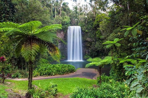 Cairns & Port Douglas All-Inclusive 7 Days Touring Package - Accommodation Batemans Bay 2