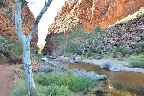 Alice Springs, Uluru Ayers Rock & Kings Canyon 8 Days Touring Package - Accommodation Batemans Bay 2