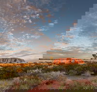 Uluru Kata Tjuta and Kings Canyon Camping Safari from Alice Springs - Accommodation Batemans Bay