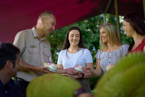Daintree And Cape Tribulation Tour From Cairns - Accommodation Batemans Bay 5