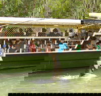 Hartley's Crocodile Adventure Half-Day Tour - Accommodation Batemans Bay