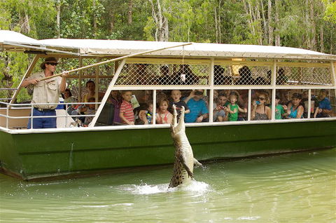 Hartley's Crocodile Adventure Half-Day Tour - Accommodation Batemans Bay 0