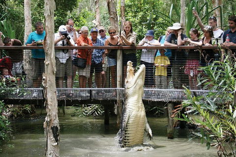 Hartley's Crocodile Adventure Half-Day Tour - Accommodation Batemans Bay 1
