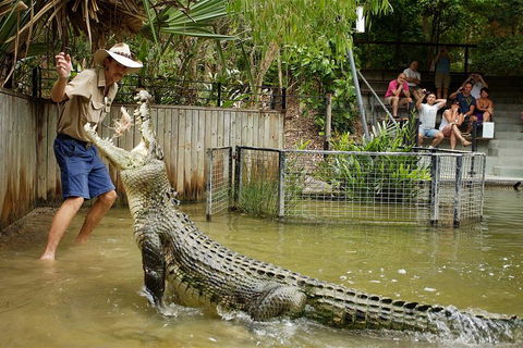 Hartley's Crocodile Adventure Half-Day Tour - Accommodation Batemans Bay 2