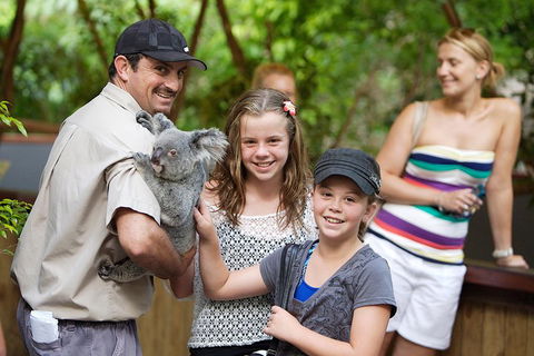 Hartley's Crocodile Adventure Half-Day Tour - Accommodation Batemans Bay 3
