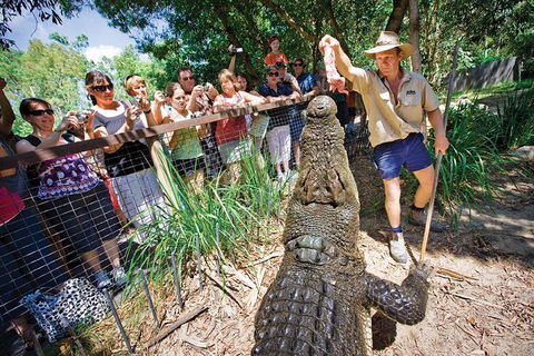 Hartley's Crocodile Adventure Half-Day Tour - Accommodation Batemans Bay 4