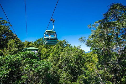 Skyrail Rainforest Cableway Day Trip From Cairns - Accommodation Batemans Bay 1