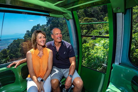 Skyrail Rainforest Cableway Day Trip From Cairns - Accommodation Batemans Bay 2