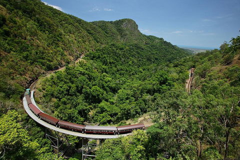Skyrail Rainforest Cableway Day Trip From Cairns - Accommodation Batemans Bay 5