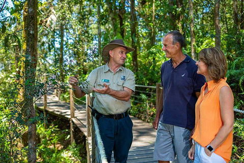 Kuranda Scenic Railway Day Trip From Cairns - Accommodation Batemans Bay 1