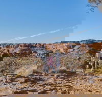 The Amazing Kings Canyon 4-Hours Walking Tour and Hike - Accommodation Batemans Bay