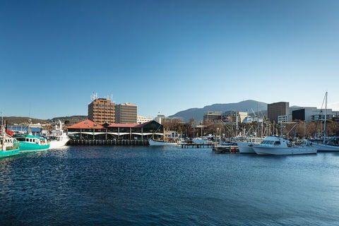 Hobart City Sightseeing Tour Including MONA Admission - Accommodation Batemans Bay 0