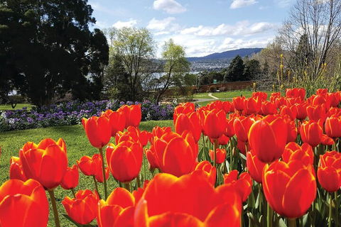 Hobart City Sightseeing Tour Including MONA Admission - Accommodation Batemans Bay 4