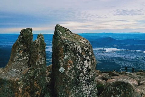 Mt Wellington Tour And MONA Admission - Accommodation Batemans Bay 2