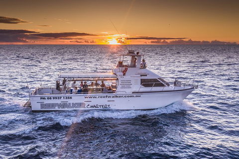 Kalbarri Sunset Coastal Cliff Cruise - Accommodation Batemans Bay 2