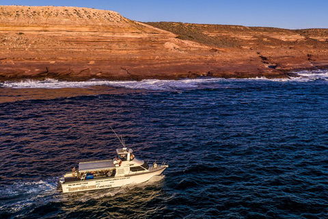 Kalbarri Sunset Coastal Cliff Cruise - Accommodation Batemans Bay 4