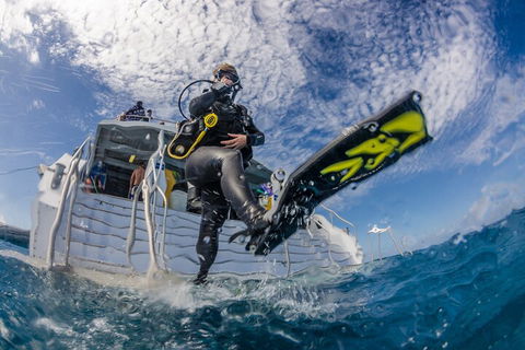 Silverswift Outer Great Barrier Reef Dive And Snorkel Cruise From Cairns - Accommodation Batemans Bay 1