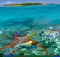 Green Island Day Trip Including Seawalker Helmet Dive COMBO - Accommodation Batemans Bay