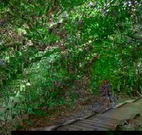 Green Island Eco Adventure from Cairns - Accommodation Batemans Bay