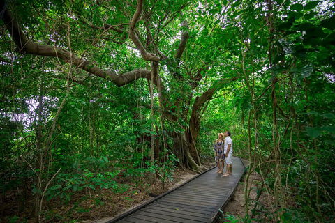Green Island Eco Adventure From Cairns - Accommodation Batemans Bay 0
