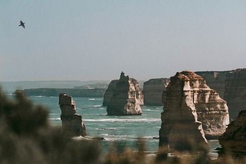 Half-Day Or Full-Day Tour With Private Guide From Melbourne - Accommodation Batemans Bay 0