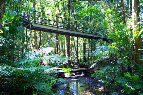 Cape Tribulation, Mossman Gorge, And Daintree Rainforest Day Trip From Cairns Or Port Douglas - Accommodation Batemans Bay 3
