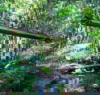 Double Pack-Ancient Rainforest and Waterfalls - Accommodation Batemans Bay