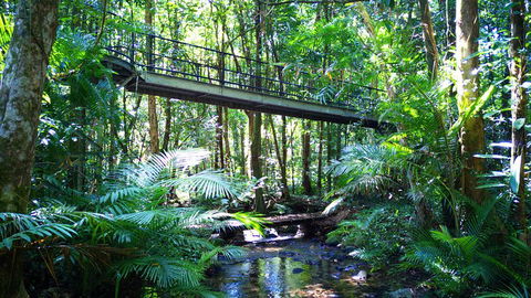 Double Pack-Ancient Rainforest And Waterfalls! - Accommodation Batemans Bay 0