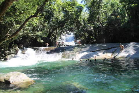 Double Pack-Ancient Rainforest And Waterfalls! - Accommodation Batemans Bay 2